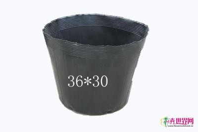 营养杯36*30